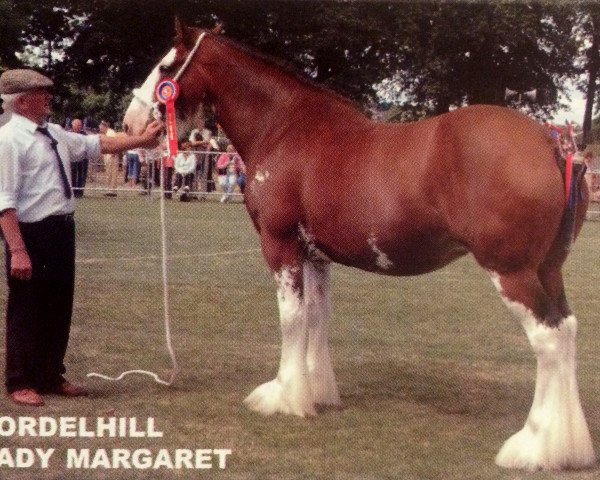 Pferd Fordelhill Lady Margaret (Clydesdale, 1998, von Greendykes Benjie)