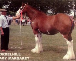 horse Fordelhill Lady Margaret (Clydesdale, 1998, from Greendykes Benjie)