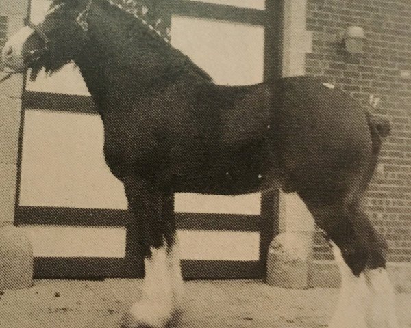 Deckhengst Woodland Challenger (Clydesdale, 1986, von Bardrill Challenger)