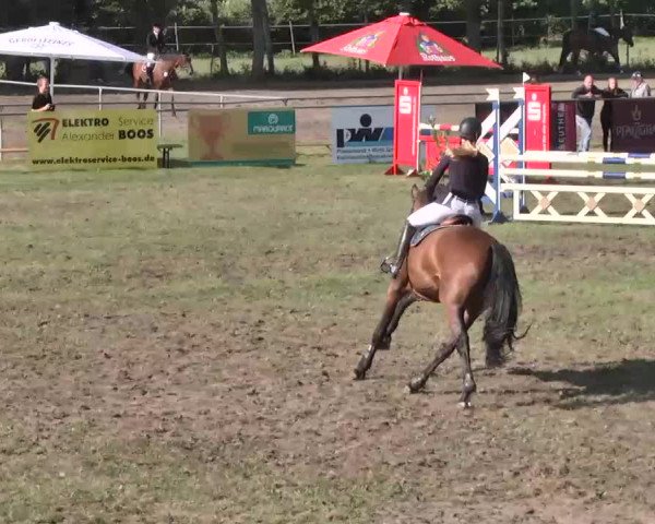 Reitturnier Pfullendorf 2015