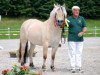 broodmare Quinia D’Ober (Fjord Horse, 2004, from Ansgar Skellerød)