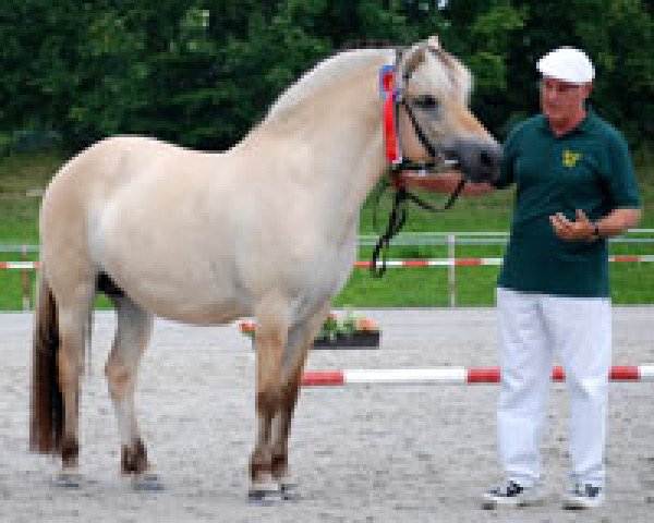 broodmare Milina (Fjord Horse, 2005, from Mosby BPH)