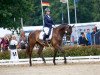 dressage horse Mio Mikeno (Oldenburg, 2015, from E.H. Millennium)