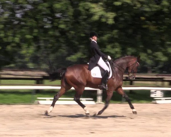 Reitturnier Recklinghausen 2015