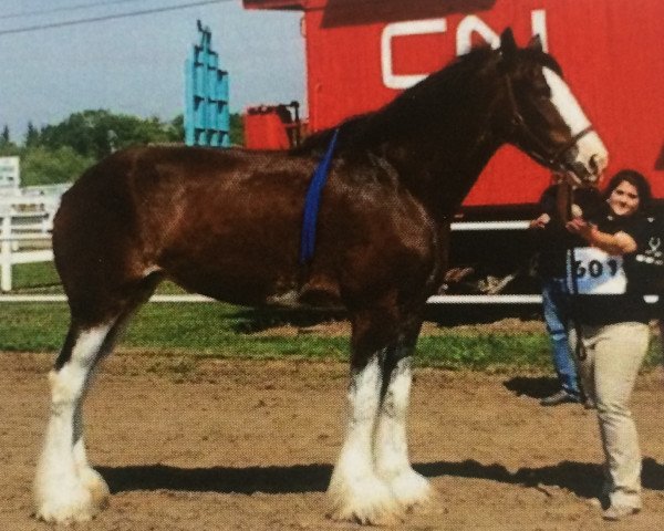 broodmare Fargo's Memorable Tovah (Clydesdale, 2009, from Green Leaf Master Link)