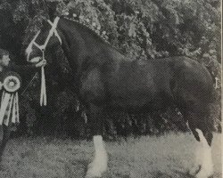 Zuchtstute Fair Chance Boots (Clydesdale, 1987, von Aspiration Bill)