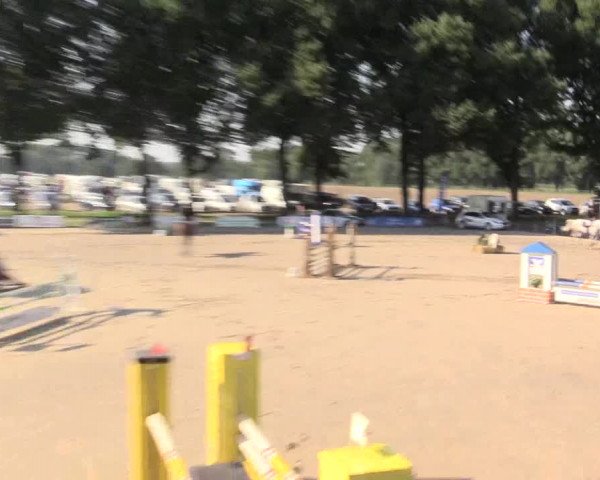 Reitturnier Recklinghausen 2015