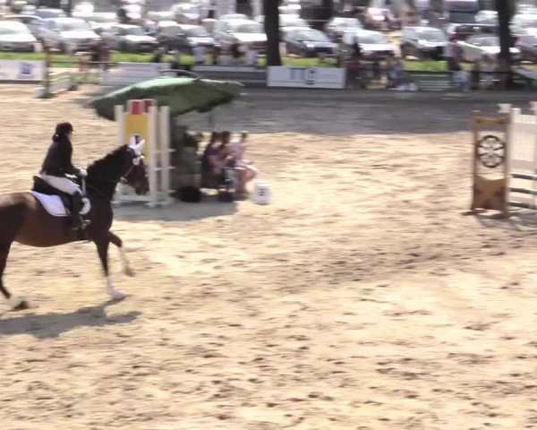 Reitturnier Recklinghausen 2015