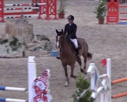 jumper Qarnavalet Batilly Z (Zangersheide riding horse, 2011, from Qlassic Bois Margot)