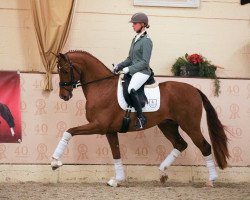 stallion Von und Zu (Hanoverian, 2017, from Vitalis)