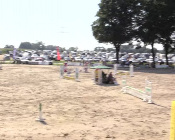 Reitturnier Recklinghausen 2015