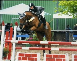 dressage horse Sidney (KWPN (Royal Dutch Sporthorse), 2004, from Niagara)