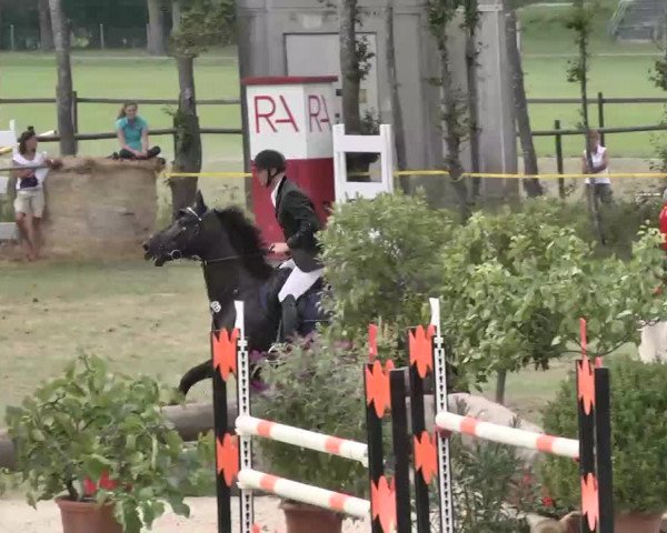 Reitturnier Pfullendorf 2015