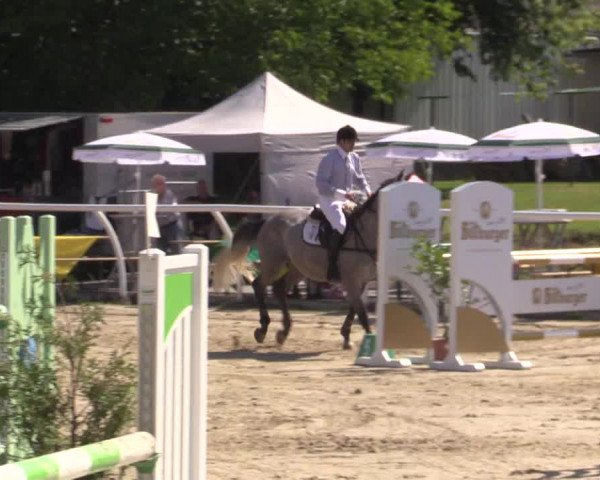 Summer Meeting Hachenburg 2015