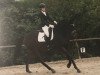 dressage horse Santos (Trakehner, 2010, from Kasparow)