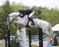 stallion Mercredi de Mars (Selle Français, 2000, from Carthago)