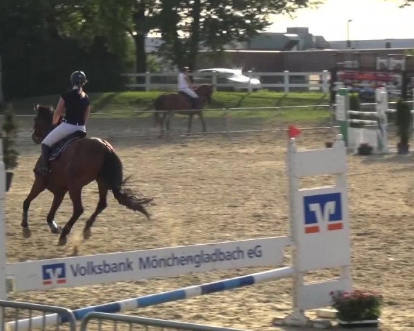 Reitturnier Mönchengladbach-Abtshof 2015