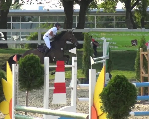 Reitturnier Mönchengladbach-Abtshof 2015