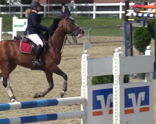 Reitturnier Mönchengladbach-Abtshof 2015