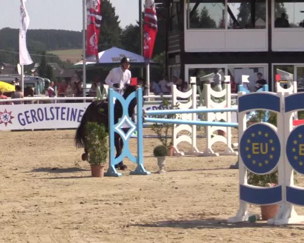 Summer Meeting Hachenburg 2015