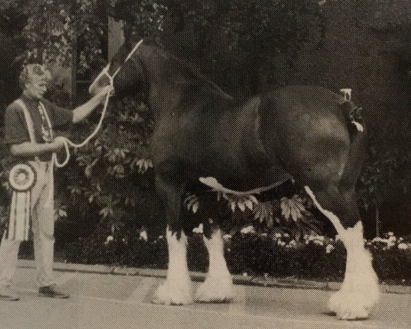 broodmare Equapolis Collessie Queen Mab (Clydesdale, 1984, from Collessie Satisfaction)