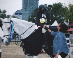 horse Gucci van den Horst (Belgian Warmblood, 2006, from VDL Cardento 933)