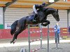 jumper Cash Maker vd Laarseheide (Zangersheide riding horse, 2008, from Chin Chin)