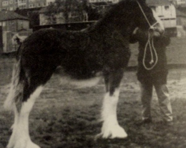 broodmare Eden Flowergirl (Clydesdale, 1988, from Doura Expectation)