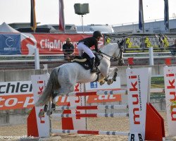 jumper Debut (KWPN (Royal Dutch Sporthorse), 2008, from VDL Cardento 933)