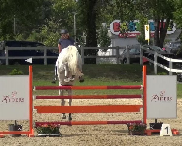 Reitturnier Mönchengladbach-Abtshof 2015