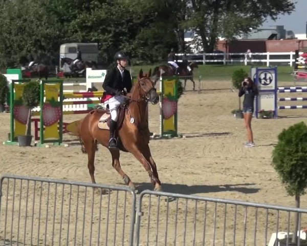 Reitturnier Mönchengladbach-Abtshof 2015