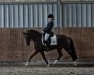 dressage horse Bentley 57 (German Riding Pony, 2006, from Benetton S)