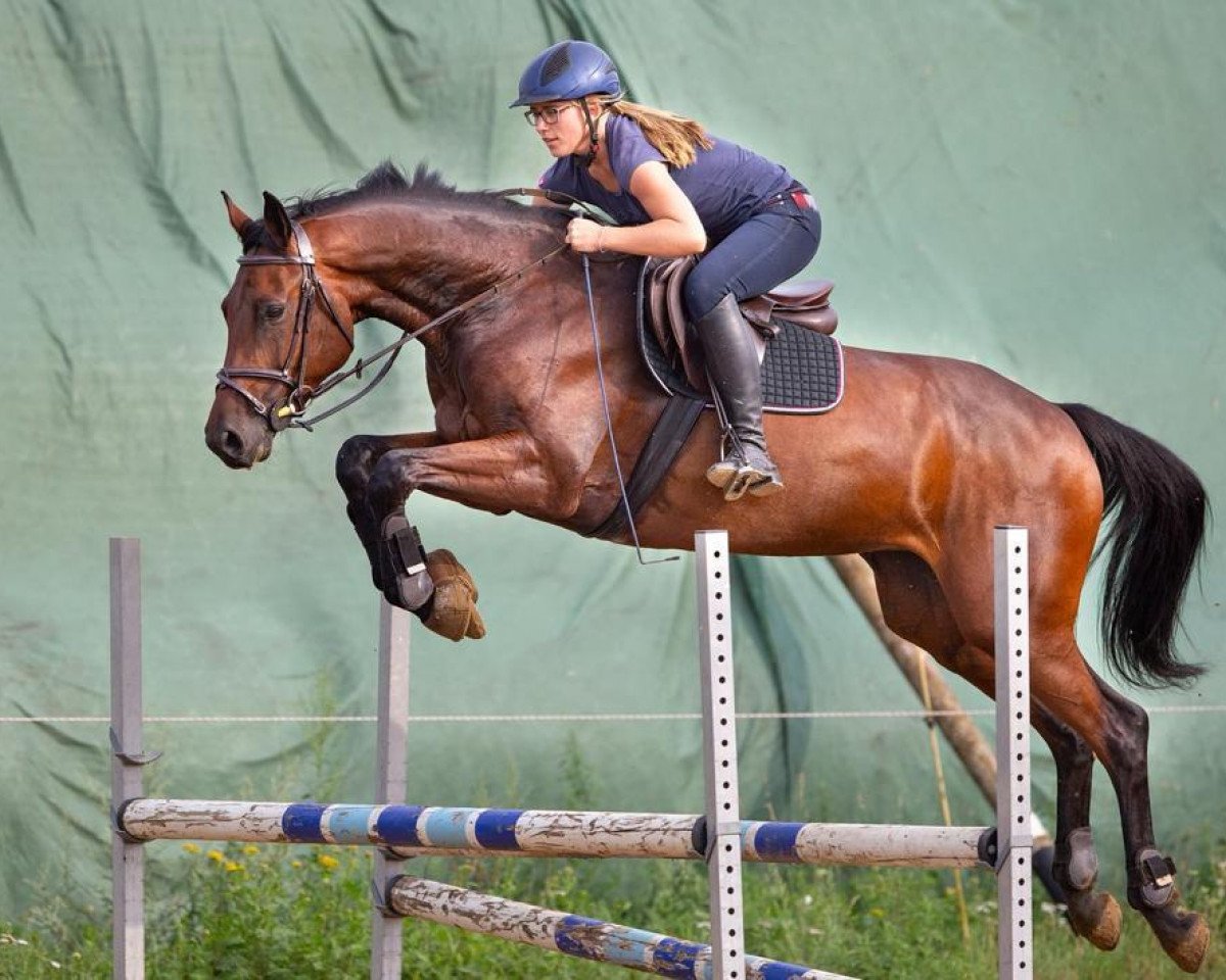 jumper Gina Me (Holsteiner, 2014, from Cascadello II)
