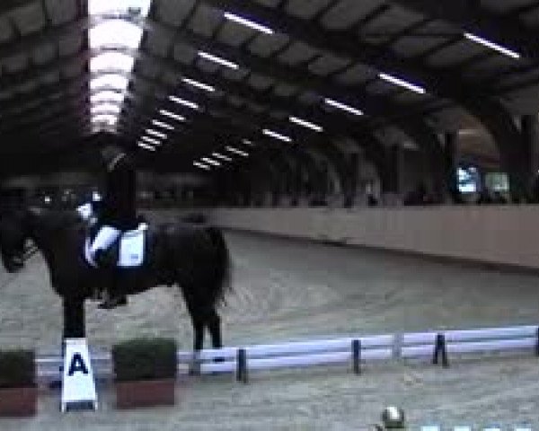 Schenefelder Sommerturnier 2015 - Horse & Classic