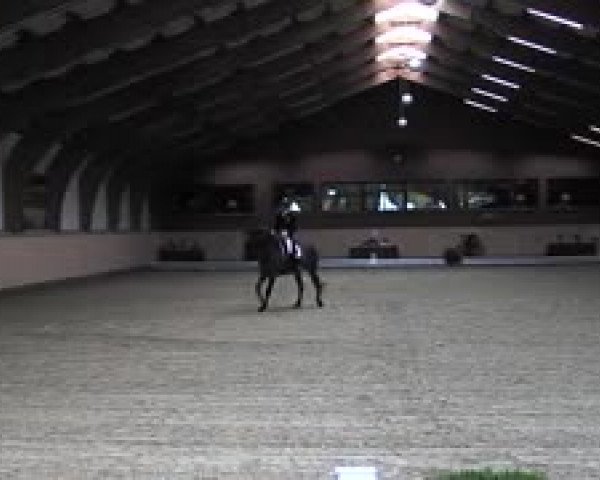 Schenefelder Sommerturnier 2015 - Horse & Classic