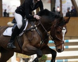 jumper Coffeefee (KWPN (Royal Dutch Sporthorse), 2011, from Chello III VDL)