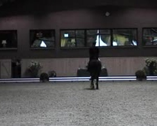 Schenefelder Sommerturnier 2015 - Horse & Classic