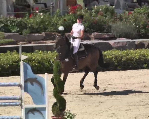 Reitturnier Waldachtal-Heiligenbronn 2015