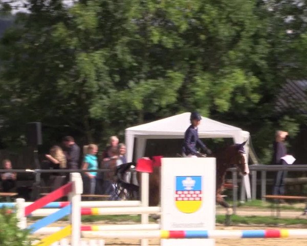 Reitturnier Bühren-Breckerfeld 2015