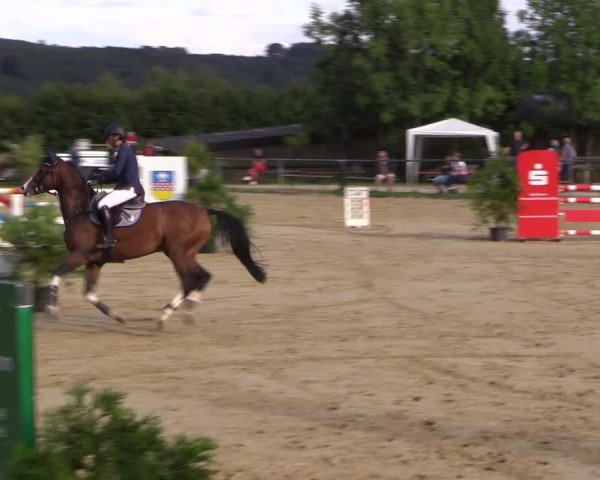 Reitturnier Bühren-Breckerfeld 2015