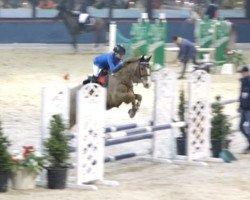 jumper Abraxas 98 (German Riding Pony, 1995, from Aron N)