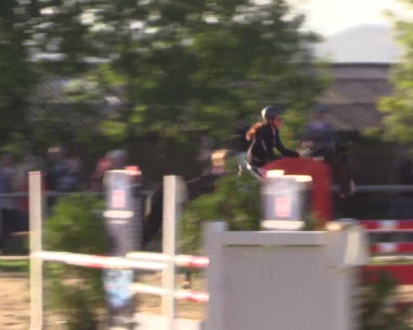 Reitturnier Bühren-Breckerfeld 2015