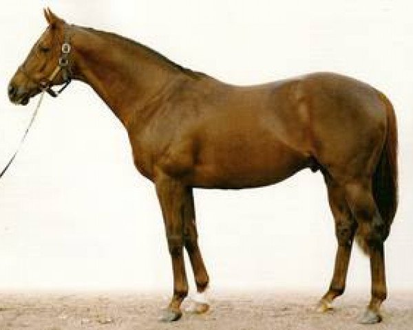 stallion Lord Of Men xx (Thoroughbred, 1993, from Groom Dancer xx)