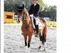 dressage horse Roksanda (Westphalian, 2015, from Rock For You 2)