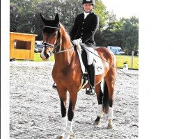 dressage horse Roksanda (Westphalian, 2015, from Rock For You 2)