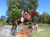 jumper Calypso du Chalet CH (Swiss Warmblood, 2003, from Calido I)