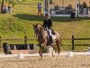 dressage horse Fuchur 80 (Hanoverian, 2010, from Florencio I)