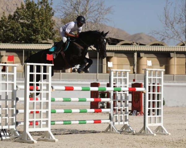 jumper Erdballfee (KWPN (Royal Dutch Sporthorse), 2009, from Zento)