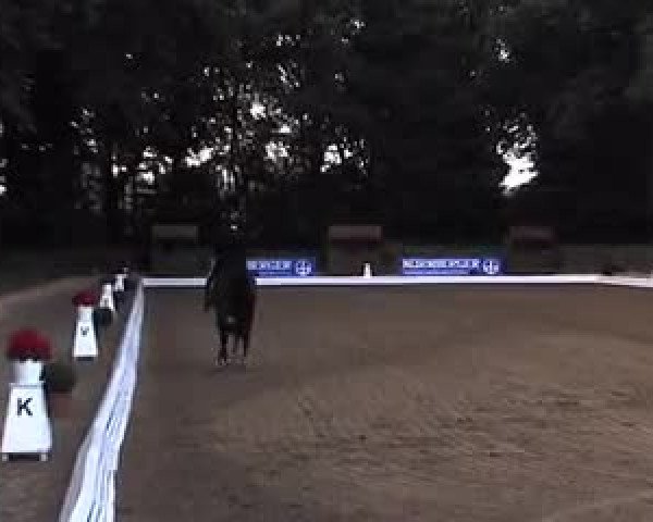 Schenefelder Sommerturnier 2015 - Horse & Classic