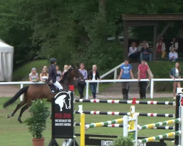 Schenefelder Sommerturnier 2015 - Horse & Classic
